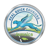 Real Quick Couriers Jamaica logo